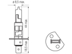 Picture of Bosma lempute H1, P14.5s, 55W, baltos                                                                                                                 